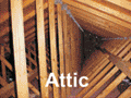 Attic Inspection